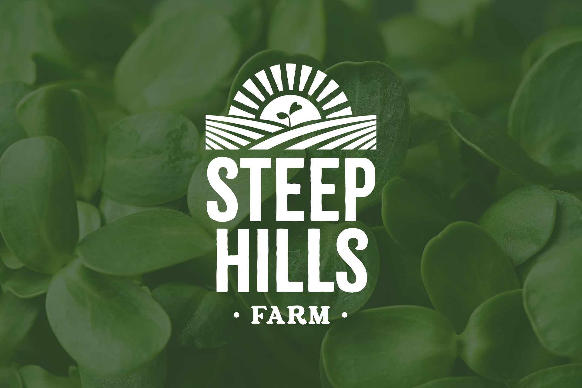 steep-hill-farm-featured-image