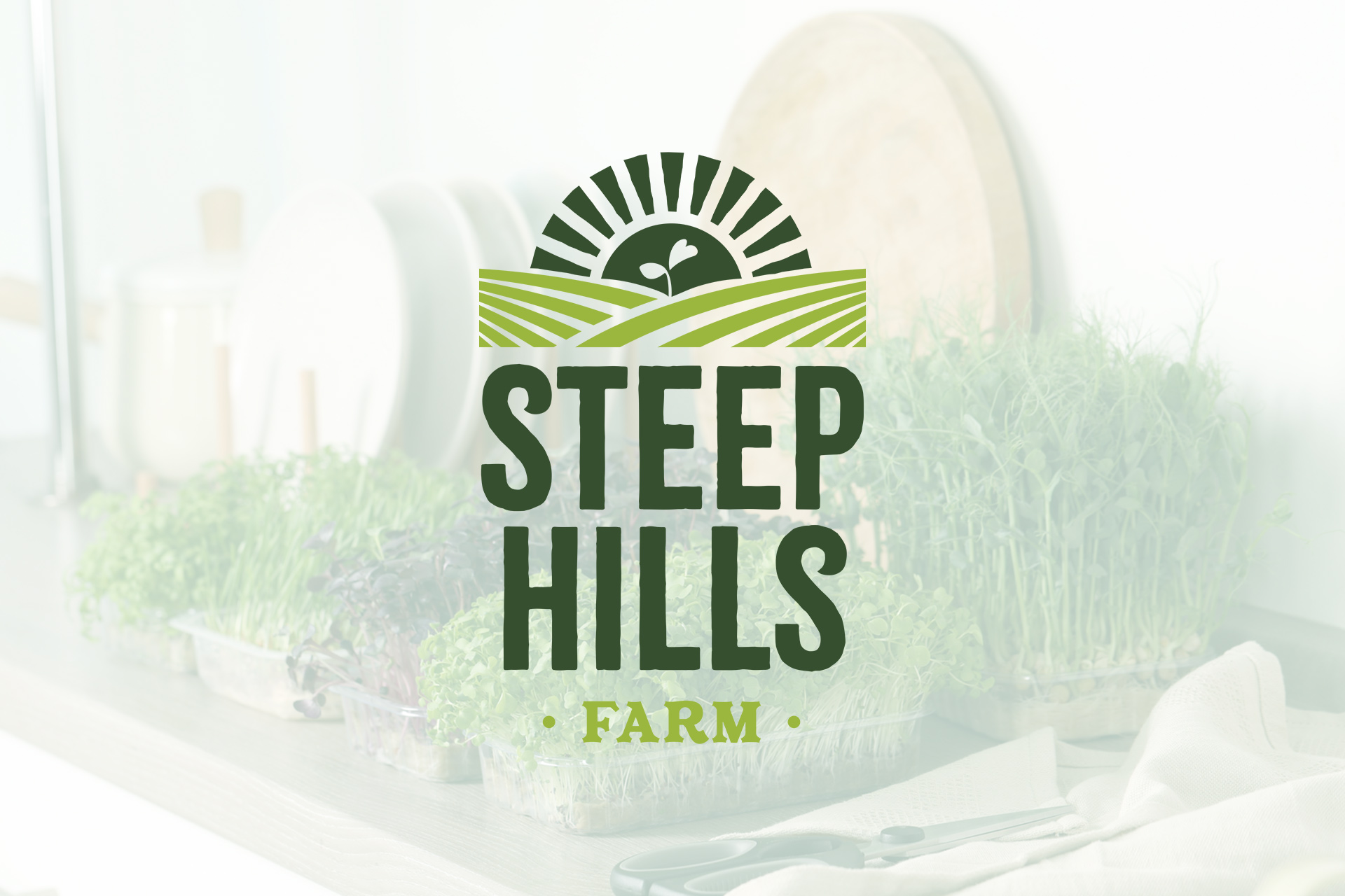 steep-hills-farm-final-lgoo