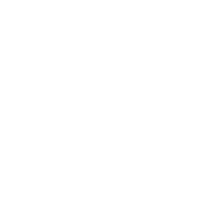vote-icon